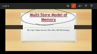 Multi Store Model of Memory ATKINSON amp SHRIFFIN [upl. by Lareine399]