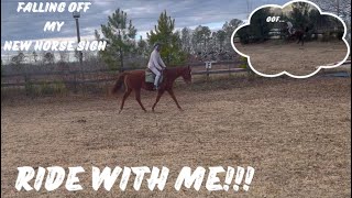 First time riding my new horse gone WRONG… [upl. by Angelle]