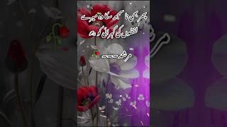 Fir bhi na samajh Saka vah mere lafzon Ki gehraiyon ko murshadshayari viralvideo poetry trending [upl. by Pooi]