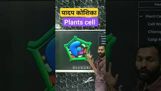 plants cell diagramplant cellपादप कोशिकासम्पूर्ण जानकारी [upl. by Nelon]