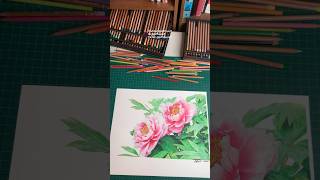 Completed drawing of peonies flowers for my mother’s birthday 102 hours shorts art artist draw [upl. by Otrepur]