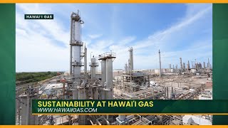 Hawaii Gas Continuing Their Goal of Carbon Neutrality [upl. by Kimon680]