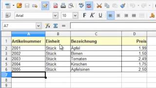 Artikelverwaltung zum fakturieren von Rechnungen [upl. by Gora]