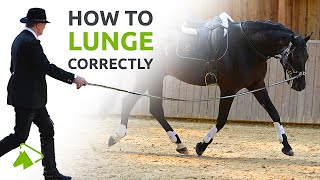 Lunging with the Cavesson or Bridle  What you need to know  wehorse [upl. by Nehtanhoj297]