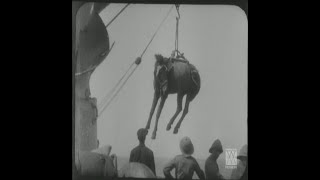 TARİHİN EN MUHTEŞEM BAŞARISIZLIĞI ÇANAKKALE 1915 YILINA AİT GERÇEK SAVAŞ GÖRÜNTÜLERİ [upl. by Yaya]