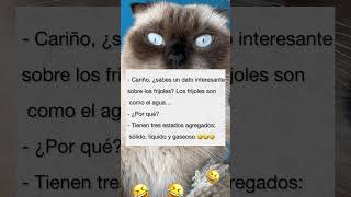 Sólido líquido y gaseoso 🤭🤣 broma gato meme gatos [upl. by Aleek]