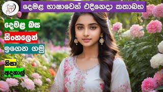 අපි දෙමළ කතා කරමු  මූලික පාඩම්  Lets Speak Tamil  Basic to Advanced Lessonsquot  Punchi Danuma [upl. by Ecnarrot]