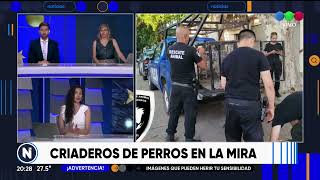 Criaderos de perros están prohibidos  Telefe Rosario [upl. by Aicen208]