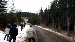 Robert Kubica vs Audi Quattro  Reaction [upl. by Raymund]