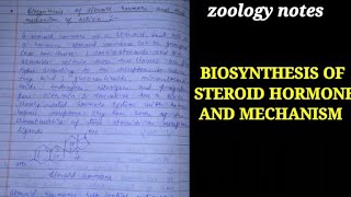 BIOSYNTHESIS OF STEROID HORMONE [upl. by Esiouqrut]