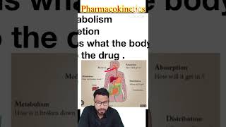 shorts pharmacokinetics ADME pharmacology [upl. by Wera444]