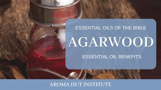 Agarwood Oil and Spiritual Significance of Aloes Oils in the Bible [upl. by Amoritta]