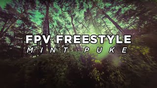 FPV Freestyle  MintPvke [upl. by Sibella]