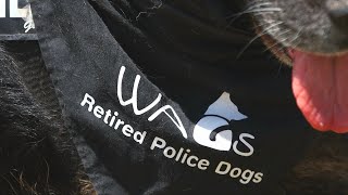 WAGs Retired Police Dogs [upl. by Eigger998]