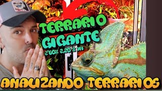 🕵️ Analizando terrario subscriptores N°5El terrario MÁS GRANDE de TODOS ✅ Camaleón [upl. by Adeirf]