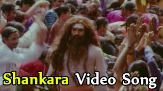 Shambo Shankara Video Song  Rayalaseema Ramanna Chowdary Movie  Mohan Babu Priya Gill [upl. by Ennayelhsa]