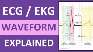 ECG Waveform Explained and Labeled  ECG Interpretation Nursing NCLEX [upl. by Jacobson211]