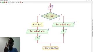 PSEINT Diagrama de flujo y Pseudocódigo que determina tu edad [upl. by Kampmeier507]