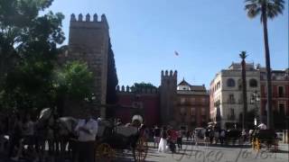 Sevilla  Fondo Flamenco [upl. by Evangelia203]