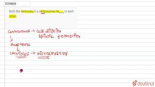 Both the centrioles in a centrosomes lie to each other [upl. by Emmery734]