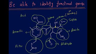 Know your functional groups and be able to classify organic comp Detailed explanation with examples [upl. by Musetta]