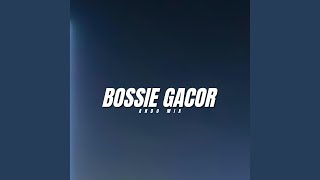 Bossie Gacor [upl. by Arahk]