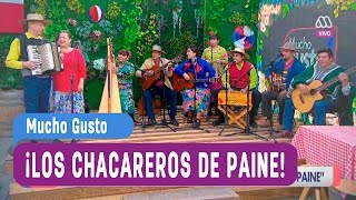 Los Chacareros de Paine  Mucho Gusto 2016 [upl. by Id]