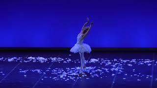 Dying Swan Alberto Pretto [upl. by Raf]