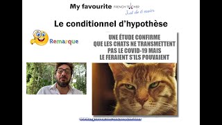 Conditionnel hypothese french [upl. by Anemix]