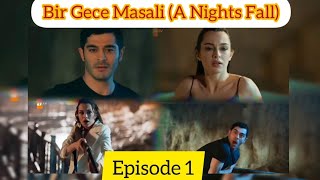 Bir Gece masali  A Nights Fall  full episode in Hindi\Urdu dubbed  turkishdrama birgecemasali [upl. by Adiasteb362]