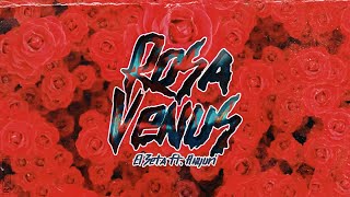 El Zeta Ft Anyuri  Rosa Venus Audio Original [upl. by Iborian]