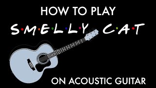 Friends  Smelly Cat How to play on acoustic guitar by Phoebe Buffay [upl. by Mikel]