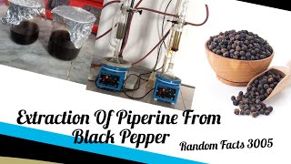 Extraction Of Piperine From Black Pepper Natural Products Random Facts 3005 [upl. by Millda]