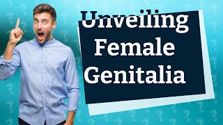 How Can I Understand the Anatomy of Female External Genitalia [upl. by Dido]