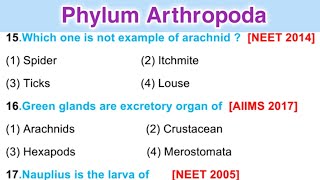 Phylum Arthropoda mcq  Animal Kingdom  Arthropods Classification [upl. by Adnahcir156]