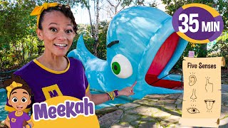 Meekah Meets A Giant Whale  Meekahs Best Animal Episodes  Blippi and Meekah Kids TV [upl. by Yrovi]