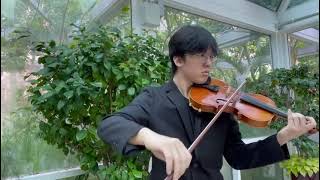 Howls Moving Castle  Solo Violin Cover [upl. by Erda]