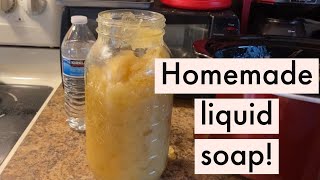 Make Your Own Liquid Castile Soap at Home [upl. by Eversole743]