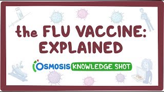 The flu vaccine explained [upl. by Nicolina]