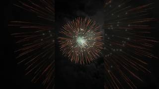 8 Firework fireworks pyromagic pyrotecnic skyshot [upl. by Pisano]