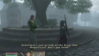 Oblivion NPC dialogue is the greatest dialogue [upl. by Callahan]