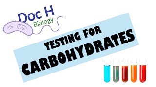 OCR ALevel Biology  Testing for carbohydrates 212 Biological Molecules [upl. by Larentia]