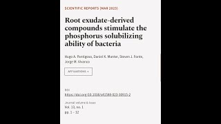 Root exudatederived compounds stimulate the phosphorus solubilizing ability of bacte  RTCLTV [upl. by Naruq68]