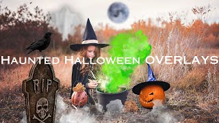 70 Haunted Halloween Overlays HighRes PNGs for Spooky Photos Parties Fall Events [upl. by Leina]