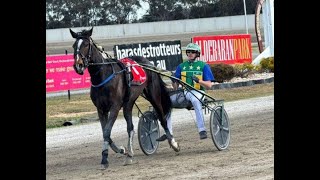 2024 Redwood Classic 2YO Trot 2190M Maryborough Australia  Vytis 2016 [upl. by Lancey]