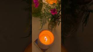 🕯️Wooden Wick Candle ASMR shorts asmr nature sound healing health flowers fire home relax [upl. by Enyrat677]