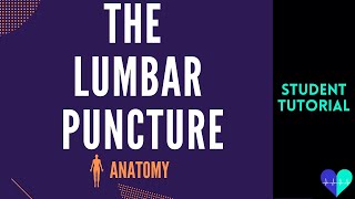 The Lumbar Puncture  Anatomy Tutorial [upl. by Annawik369]