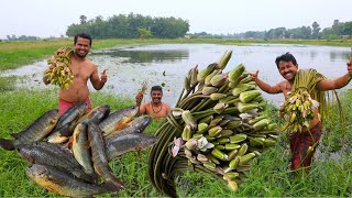 ডোবা থেকে শাপলা তুলে পাকা হলুদ কৈ মাছ দিয়ে জমিয়ে রান্না করে খাওয়া  Climbing perch amp water lily [upl. by Mort]