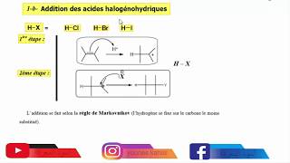 Hydrocarbure SMC S4 Addition des acides halogénohydriques La règle de Markovnikov 14 [upl. by Lezirg765]