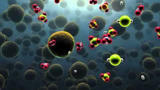 Bacterial Production of Hydrogen Sulfide [upl. by Silvie]